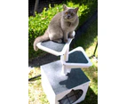 Skywalks Outdoor Cat Tree