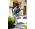 Skywalks Outdoor Cat Tree