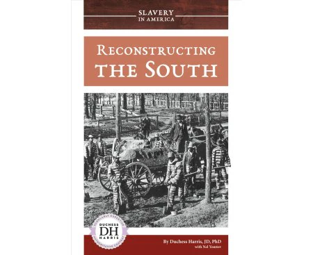 Reconstructing the South - Hardback