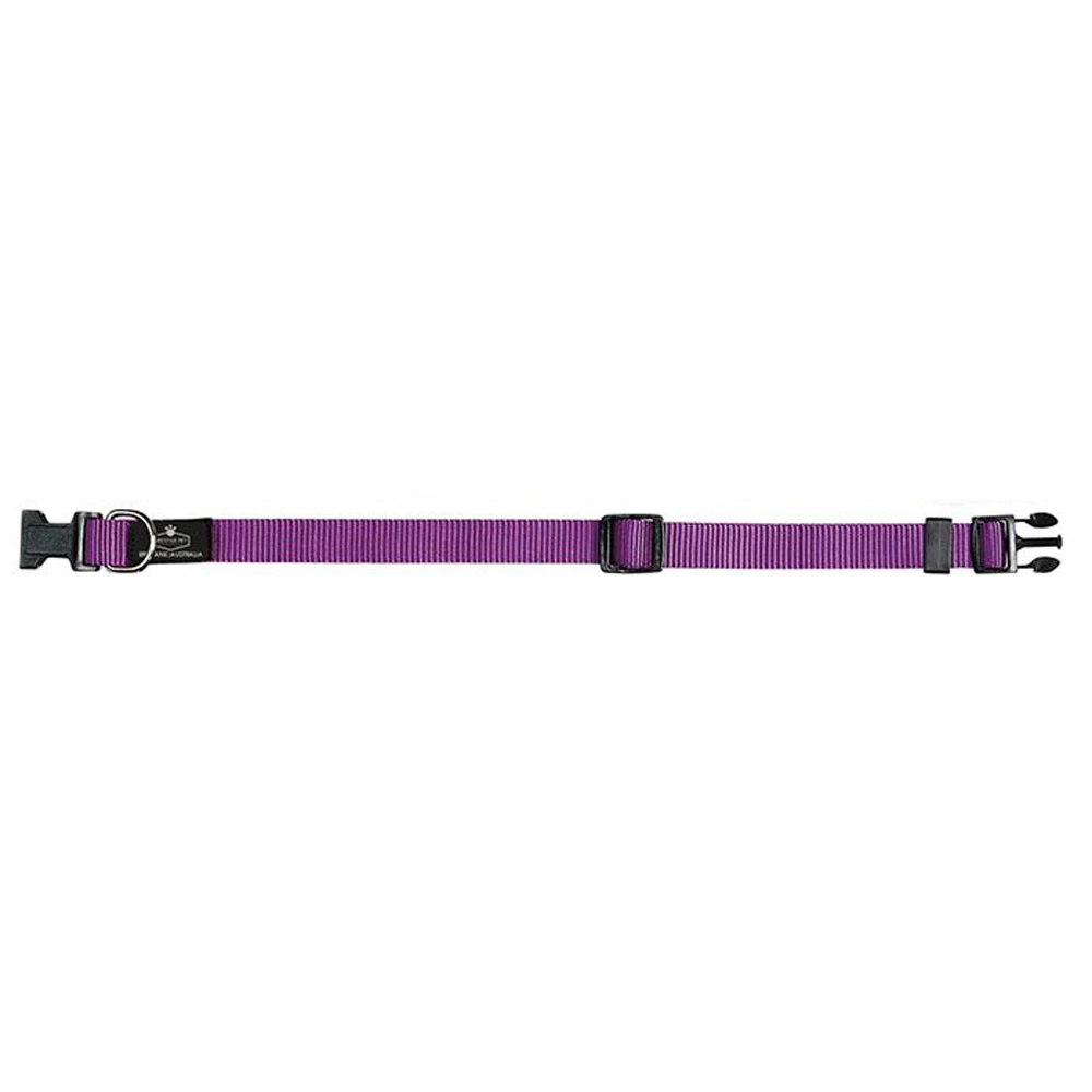 Prestige Pet 3/4 Inch Adjustable Nylon Dog Collar Purple 30-46cm