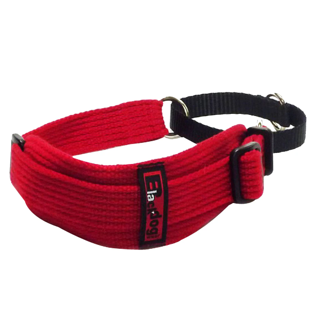 Black Dog Sight Hound Adjustable Dog Collar Red 36-46cm