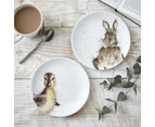 Royal Worcester Wrendale Designs Coupe Plate - Duckling & Bunny Set Of 2