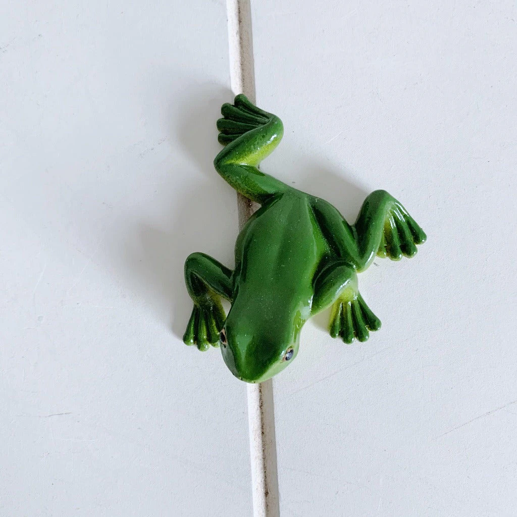 Climbing Green Tree Frog