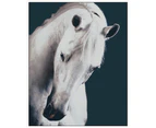 Purity Horse Framed Canvas