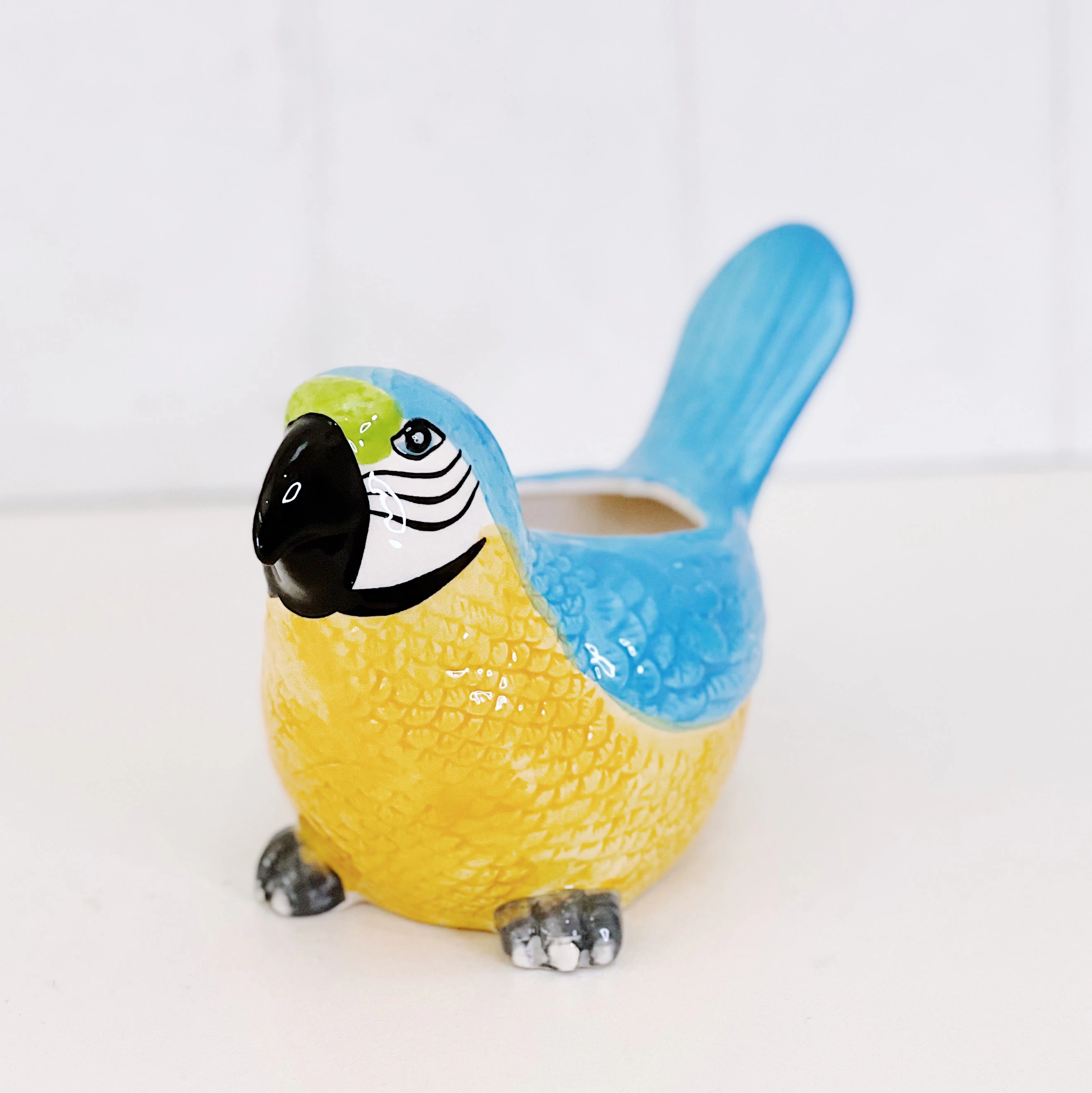 Marcello Macaw Ceramic Pot