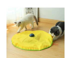 Interactive Pet Cats Puzzle Moving Mouse Toy