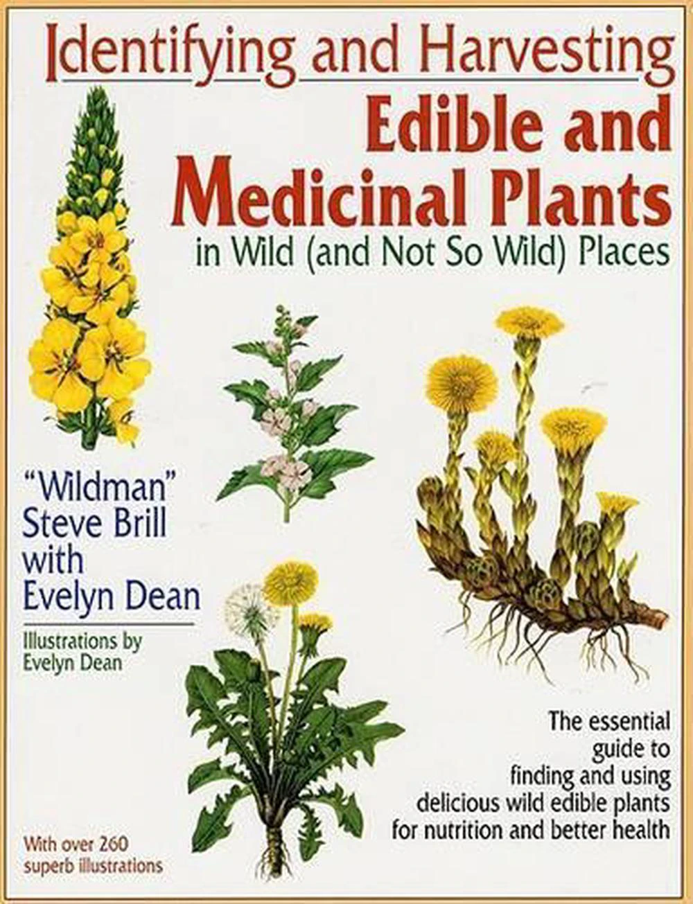 Identifying and Harvesting Edible and Medicinal Plants