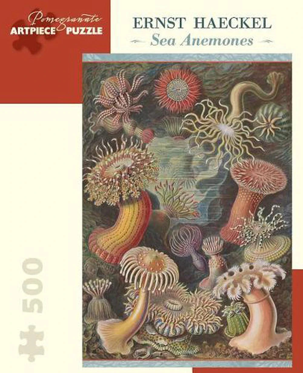 Ernst Haeckel Sea Anemones 500-Piece Jigsaw Puzzle