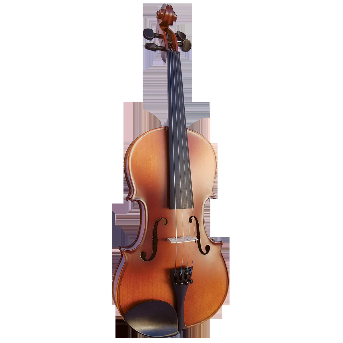 Vivo Neo 4/4 Student Violin Outfit