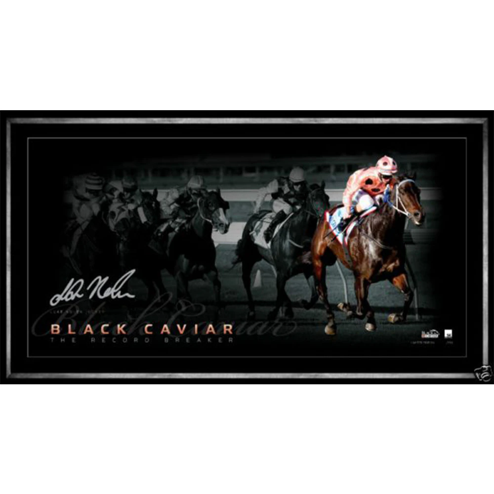 Black Caviar - Signed and Framed Limited Edition Record Breaker Panoramic Print