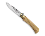 Antonini Old Bear M Lever Lock Folding Knife | Olive Wood | Stainless