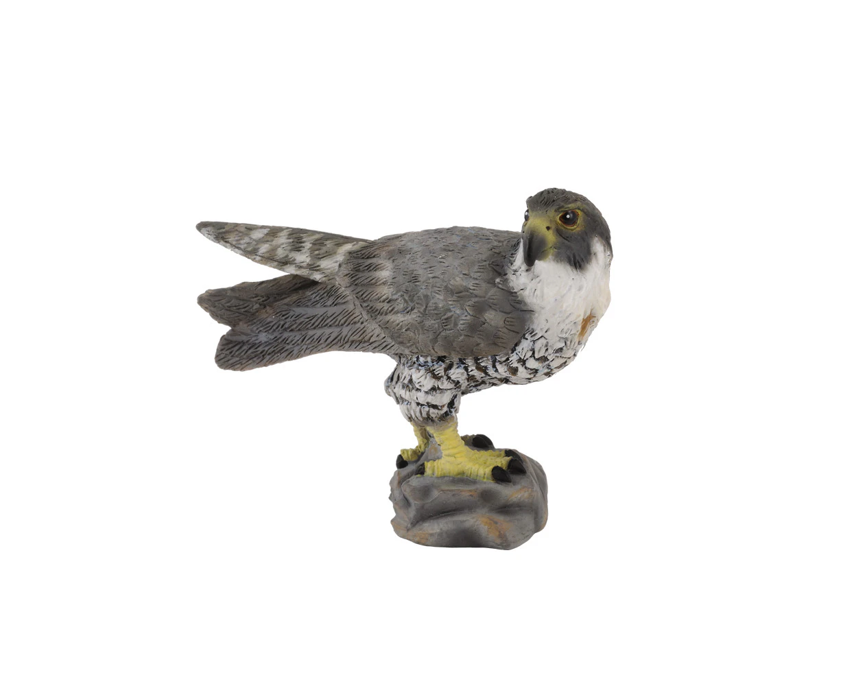 Collecta Peregrine Falcon