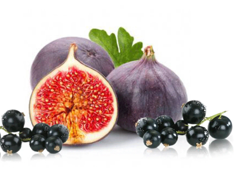 Fig & Cassis - Fragrance Oil