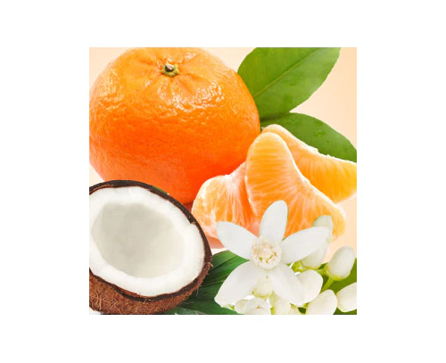 Coconut & Mandarin - Fragrance Oil