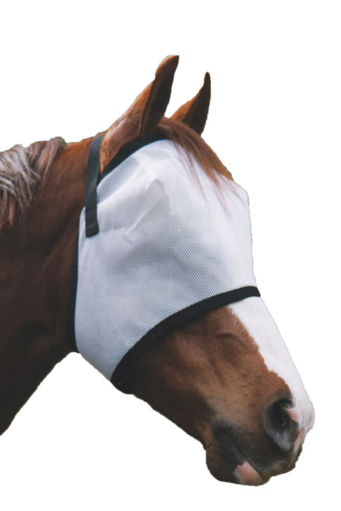 Deluxe Horse Pony Fly+Mask+Fly+Veil Uv+Insect Protections - White