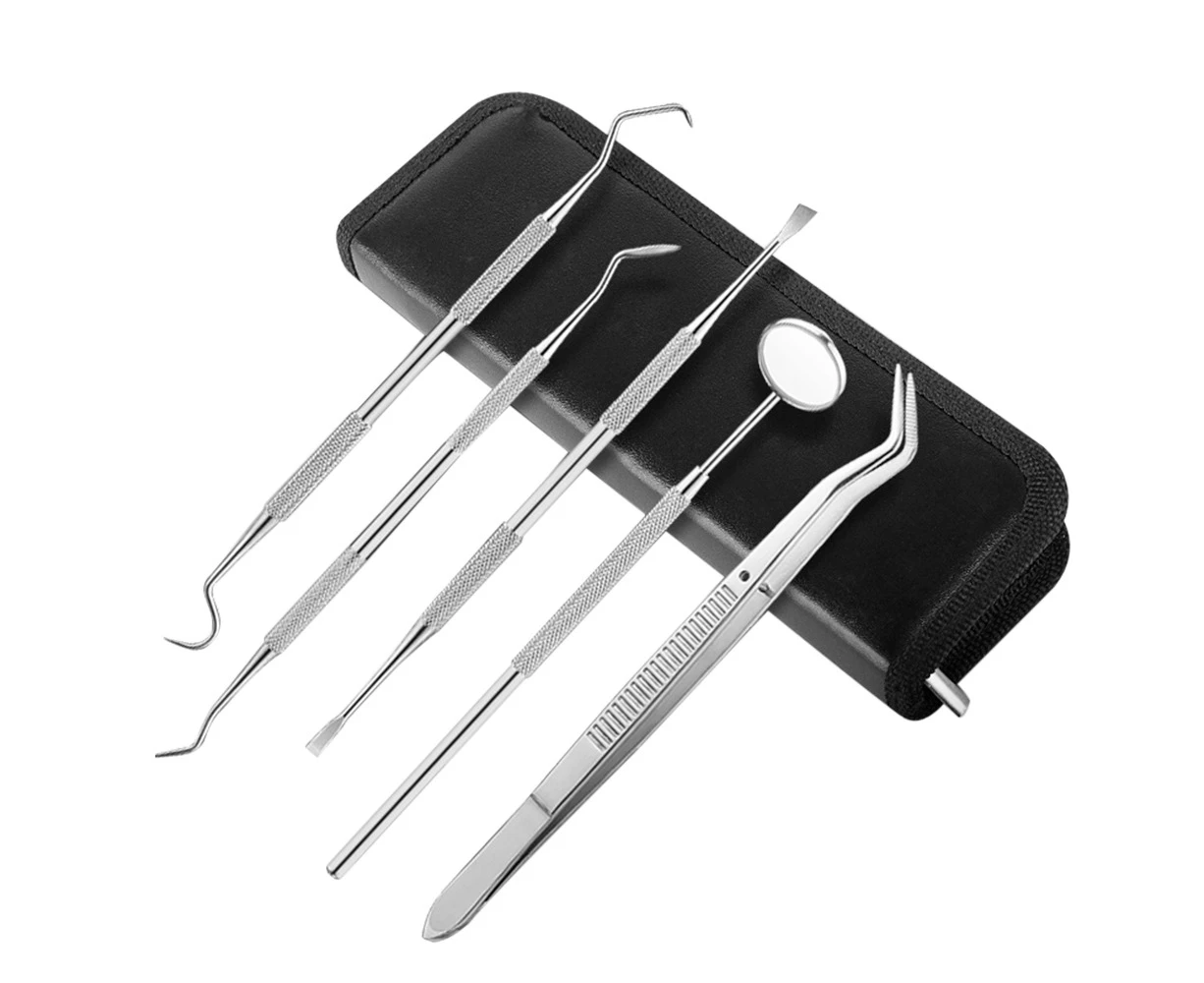 5pcs Stainless Steel Dental Tools Kit