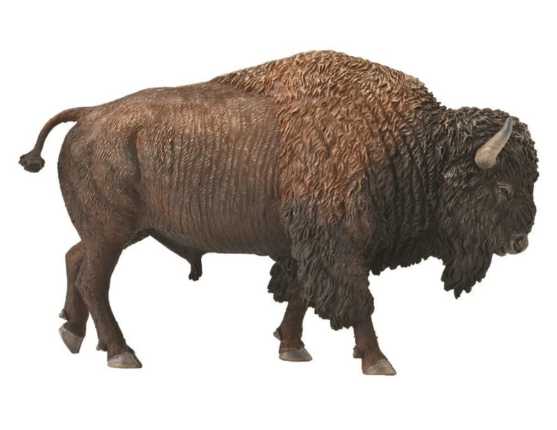 Collecta - American Bison 88968