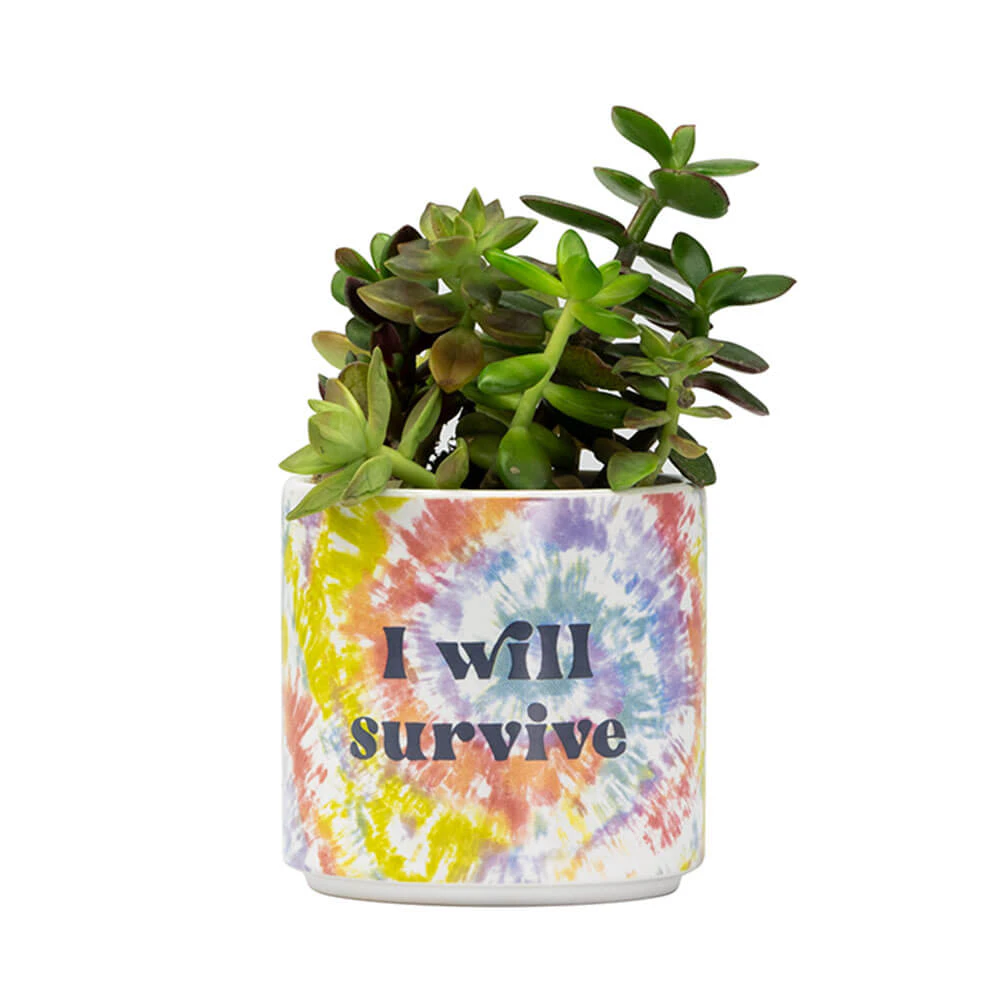 Blurred - Tie Dye Planter Small: I Will Survive