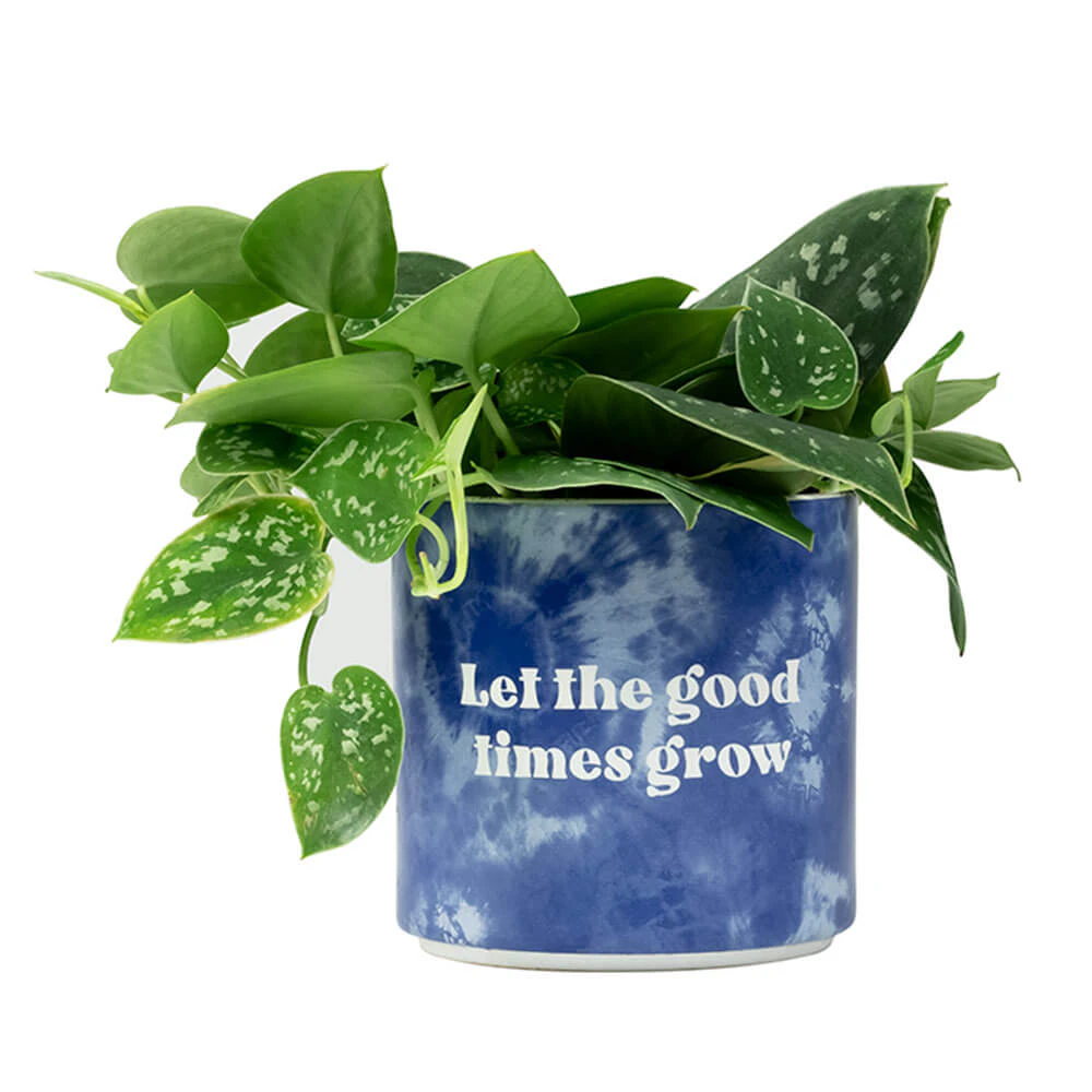 Blurred - Tie Dye Planter Medium: Good Times Grow - Stoneware - Novelty