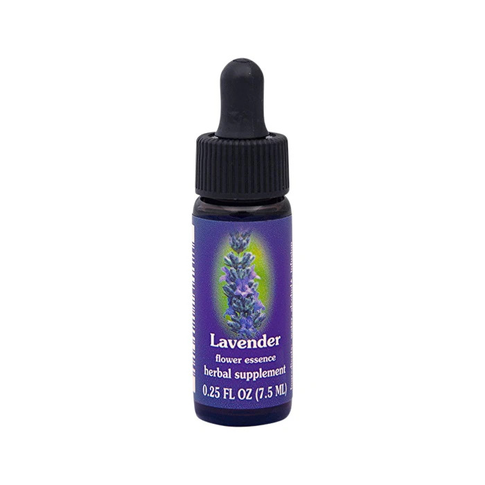 Fes Flower Essences FES Organic Quintessentials Flower Essence Lavender 7.5ml