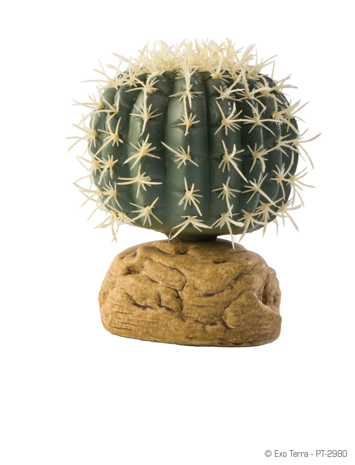 Exo Terra Barrel Cactus Small 7cm