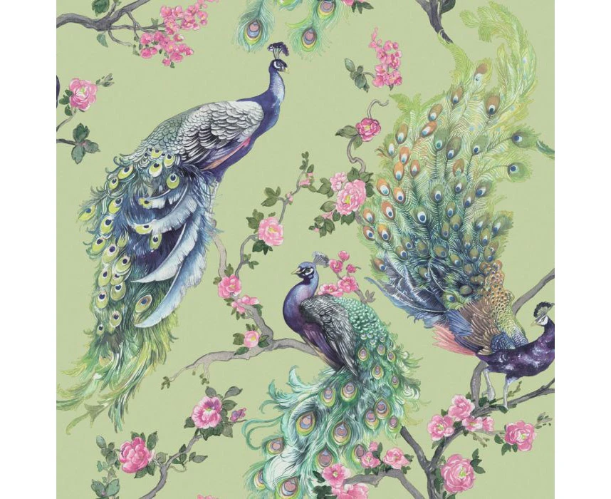 Holden Menali Peacock Wallpaper Green (35921)