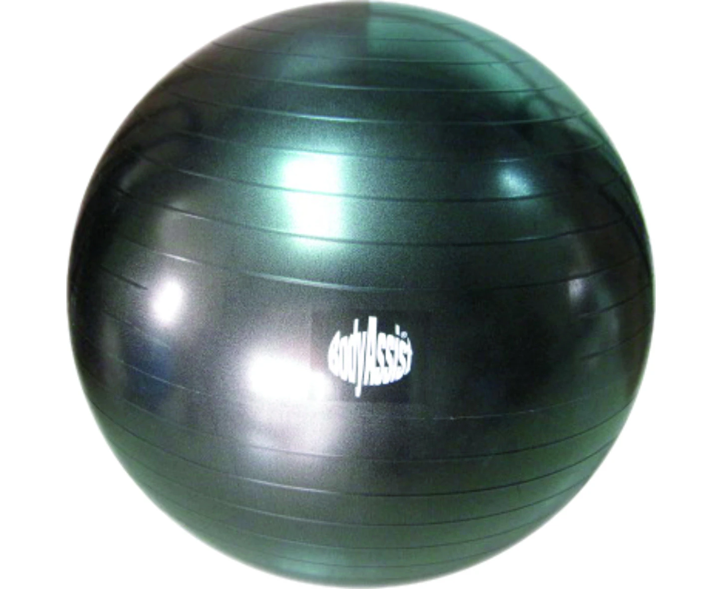 Bodyassist Fitness Wellness Swiss Gym Fit exercise wellness Ball - Black