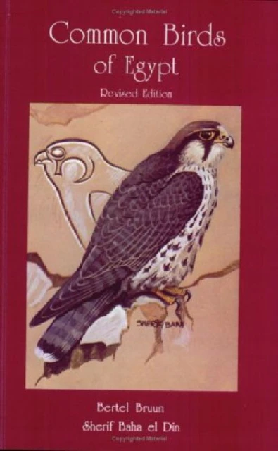 Common Birds of Egypt by Sherif Bahaa El Din