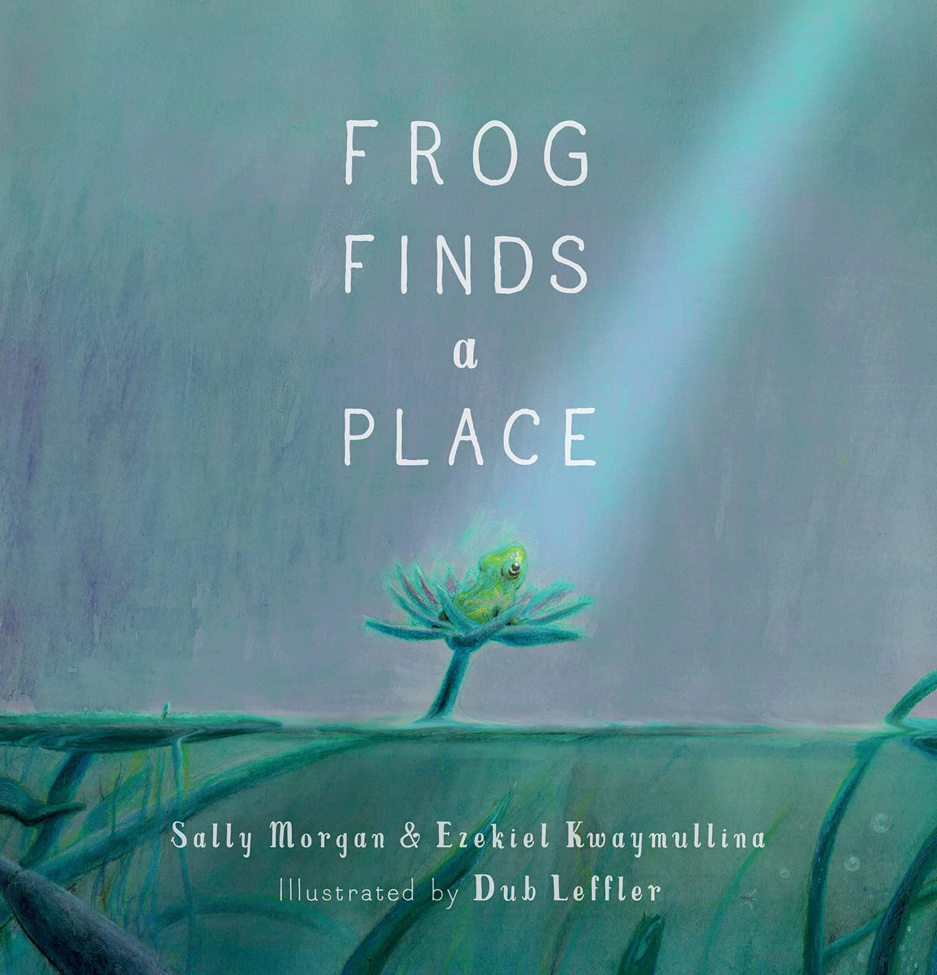 Frog Finds a Place - Sally Morgan