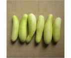 Cucumber - Jefferson seeds
