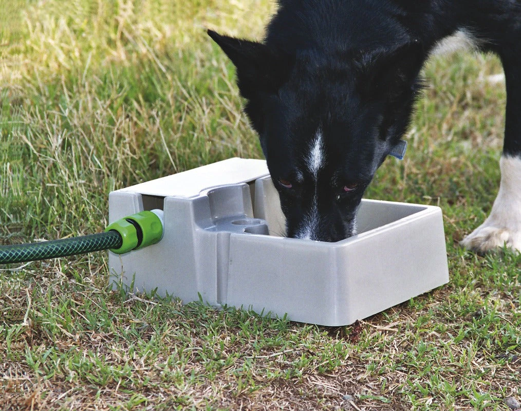 Bainbridge Automatic Pet Waterer 2lts