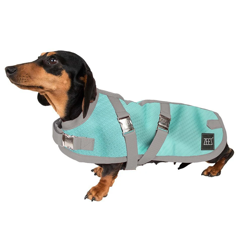 Dachshund Dog Coat 43.5cm Green/Grey Warm Inside & Waterproof by ZeeZ