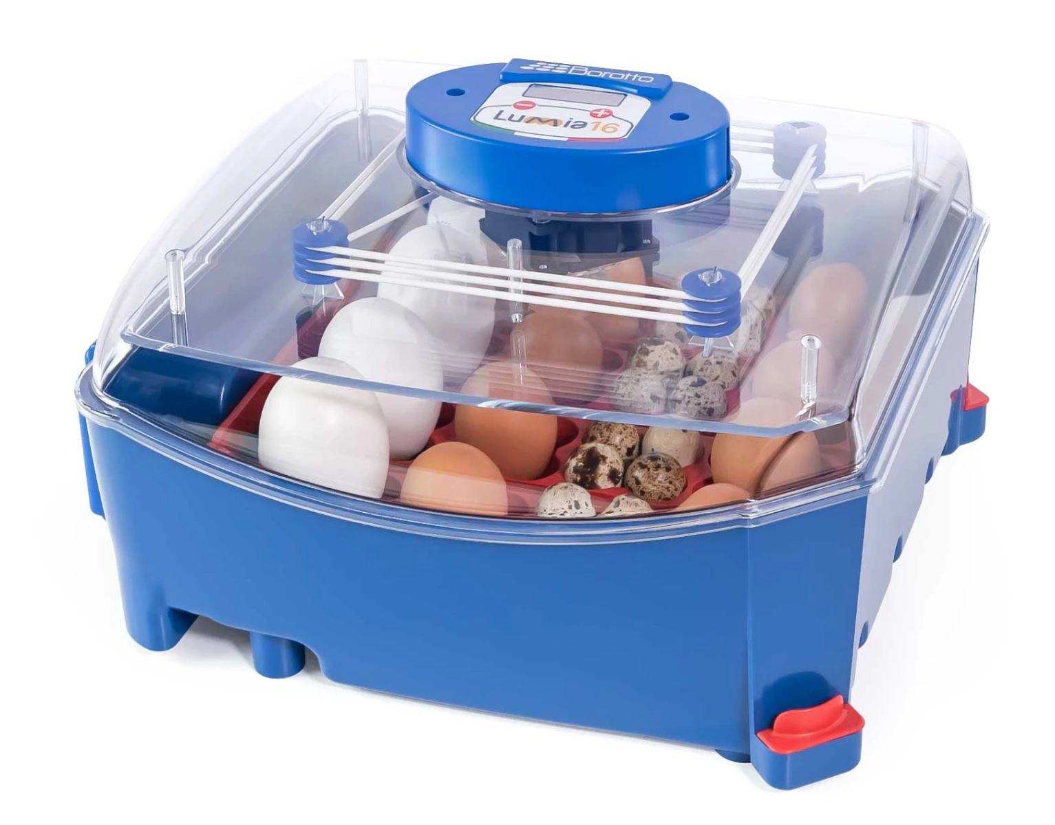 Borotto Lumia 16 Automatic Chicken / Poultry Egg Incubator