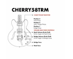 Artist Cherry58TRM Semi-Hollow Electric Guitar w/ Tremolo