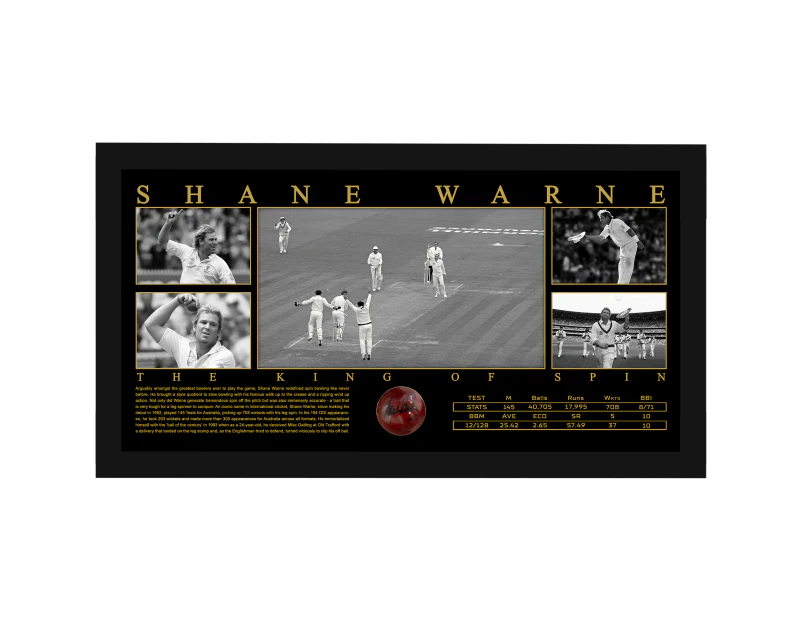 Cricket - Shane Warne Signed & Framed Deluxe Cricket Ball Display