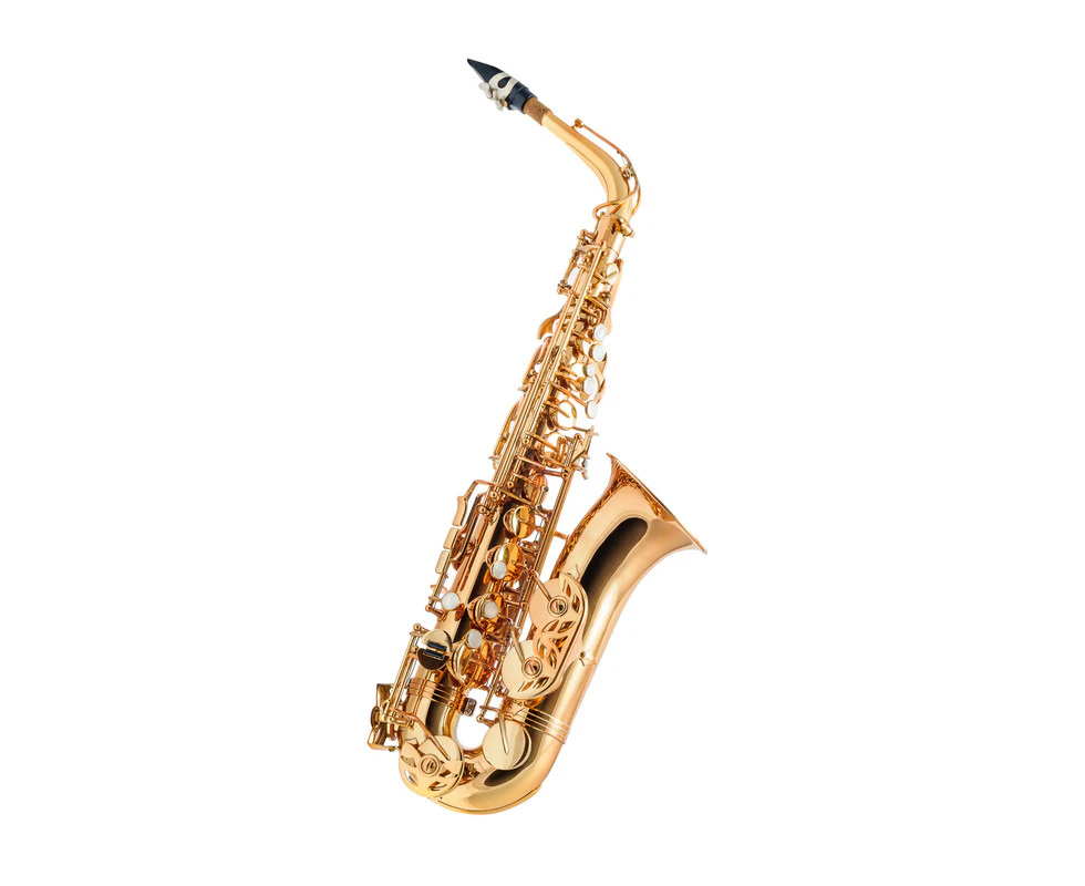 Axiom Concerto Series Alto Sax Outfit