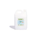 Ecodev Glass & Stainless Steel Cleaner 5 Litre