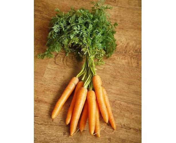 Boondie Seeds CARROT 'Nantes Darcy' seeds