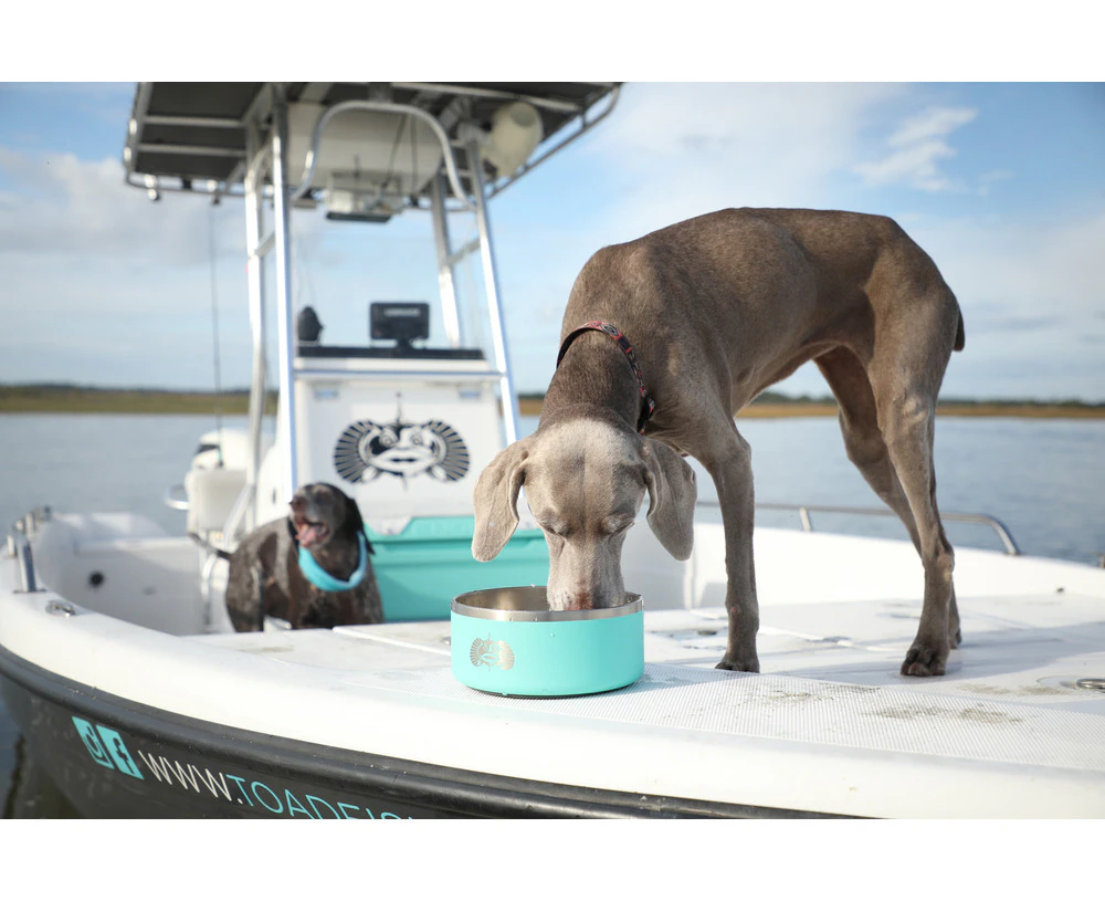 Teal Toadfish Outfitters Non-Tipping Stainless Steel Dog Bowl