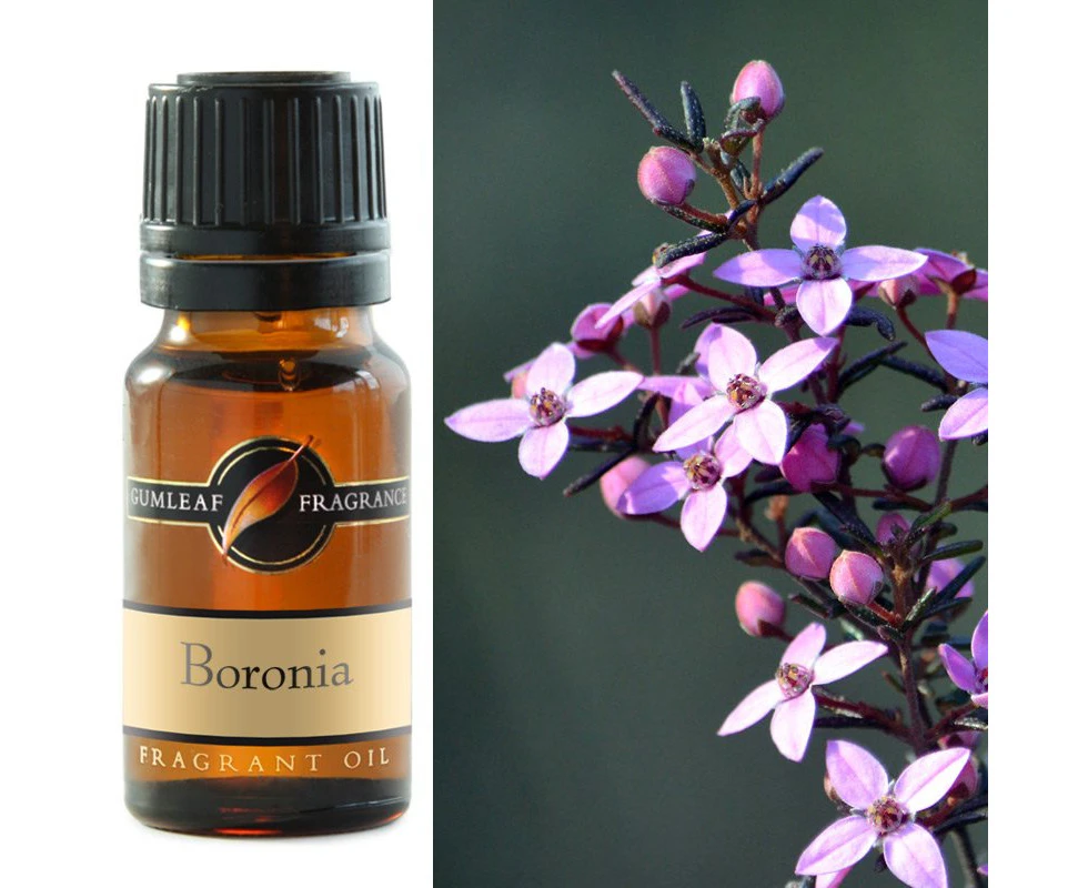 Boronia Fragrance Oil 10ml