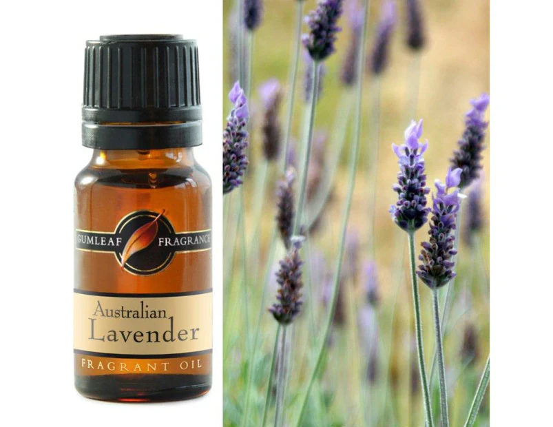 Australian Lavender Fragrance Oil 10ml