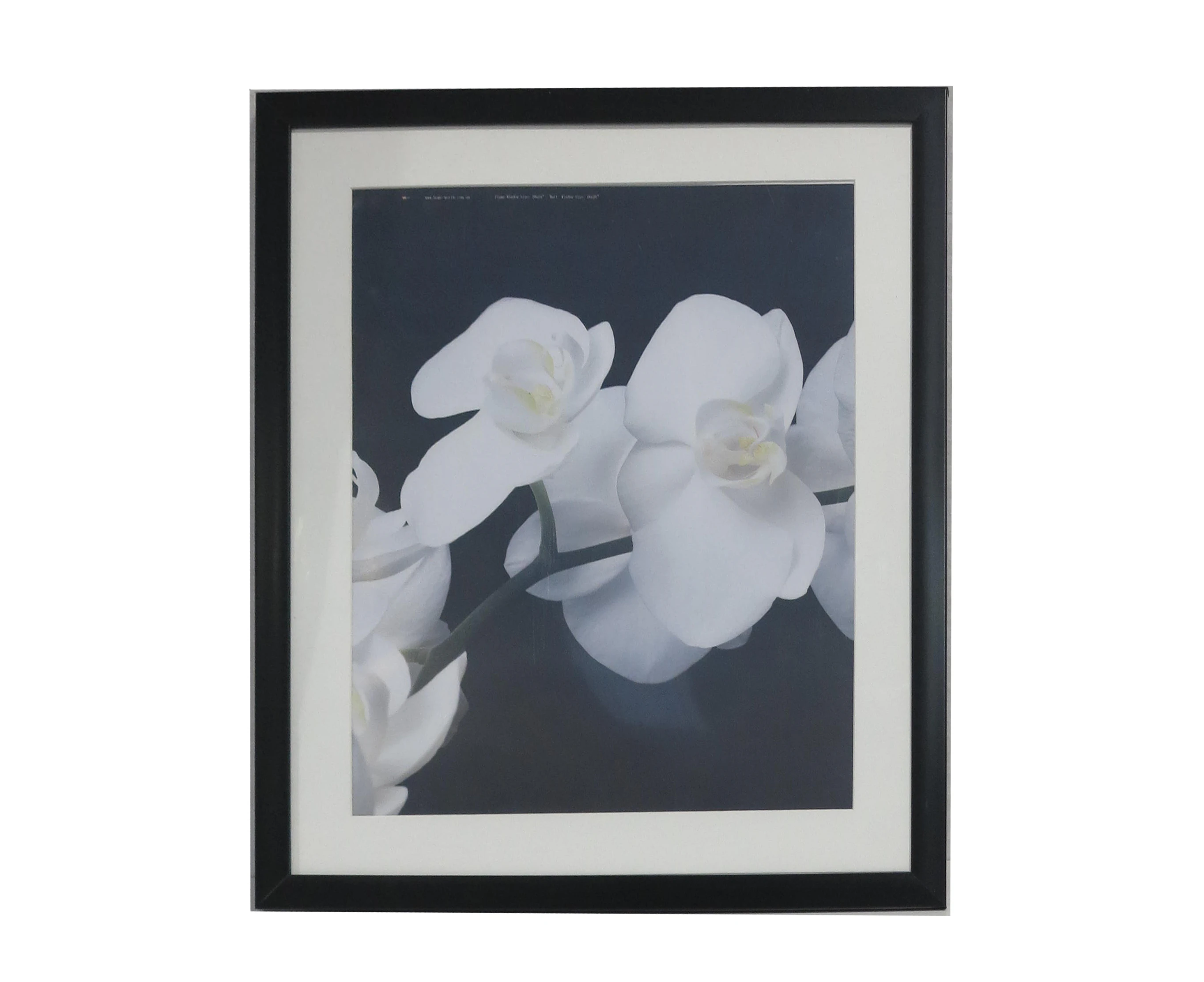 For 16x20" Photo -Picture Frame Black With Mat Border