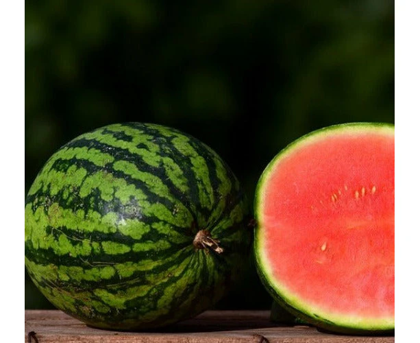 Boondie Seeds WATERMELON 'Crimson Sweet' *ORGANIC* seeds