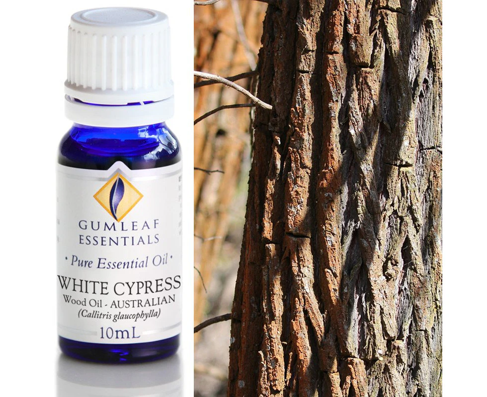 White Cypress Wood Pure Essential Oil 10ml