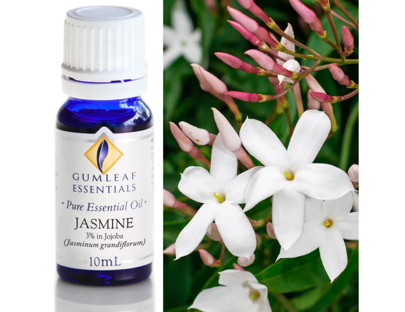 Jasmine (3% in Jojoba) Pure Essential Oil 10ml