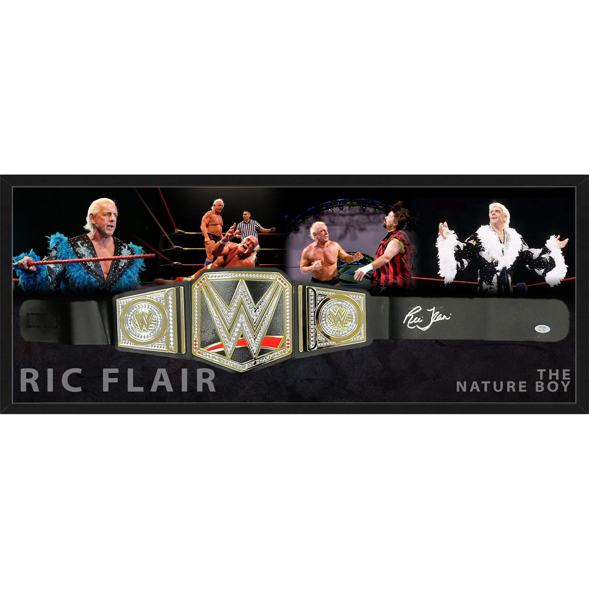 Ric Flair - Signed & Framed Replica WWE Title Belt (PSA Hologram)