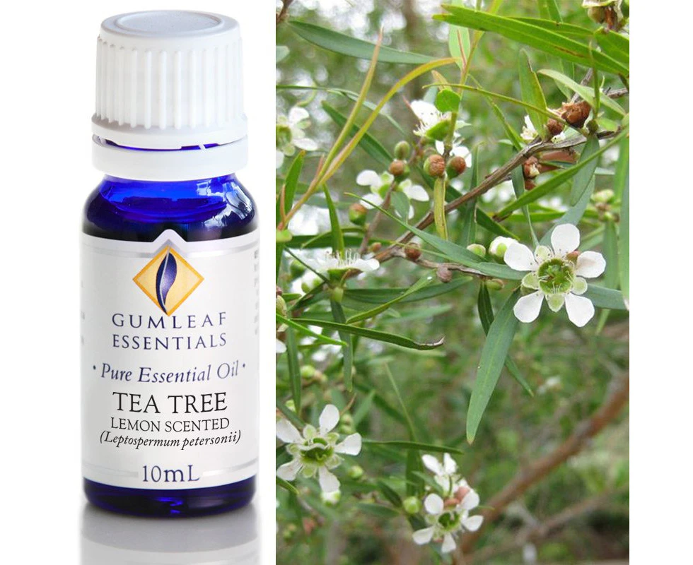 Tea Tree Lemon Scented Pure Essential Oil 10ml