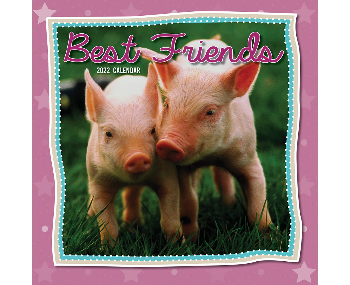 2022 Calendar Best Friends Square Wall by The Gifted Stationery GSC20985