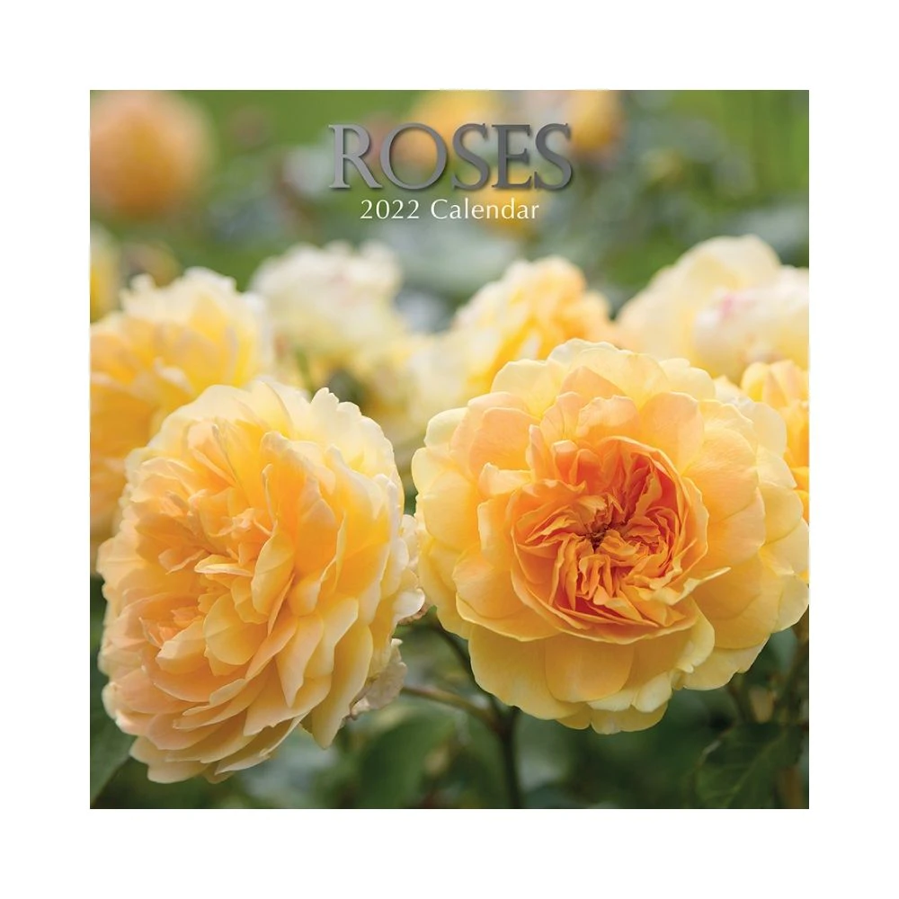 2022 Square Wall Calendar - Floral Roses