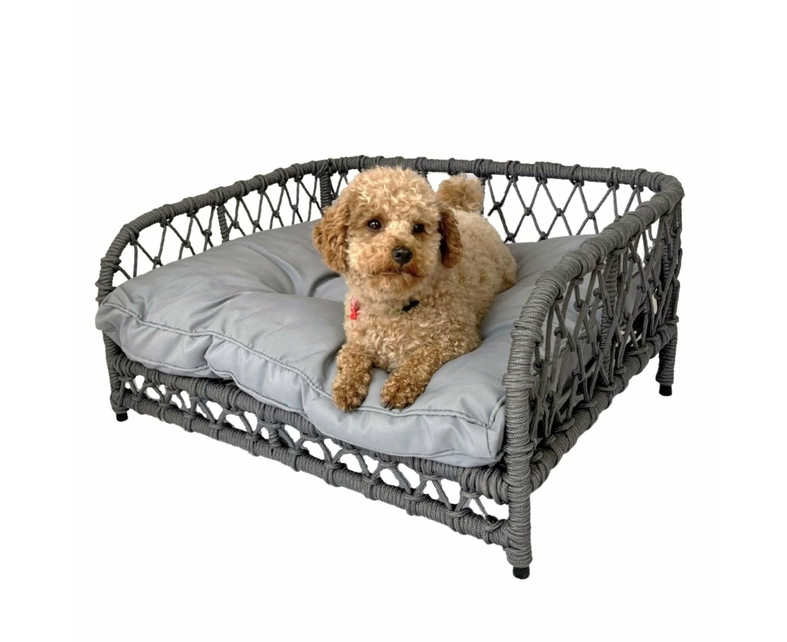 JACOB Pet Basket Bed for Small Cat & Dog- Grey